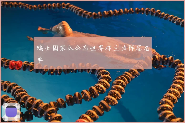 瑞士国家队公布世界杯主力阵容名单
