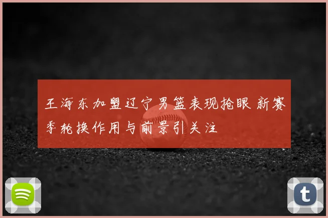 王海东加盟辽宁男篮表现抢眼 新赛季轮换作用与前景引关注